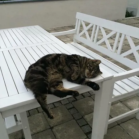 Apartment Taning Gl. Mejeri Skanderborg